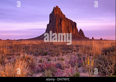 Fleurs sauvages et de Shiprock, Nouveau Mexique USA Banque D'Images