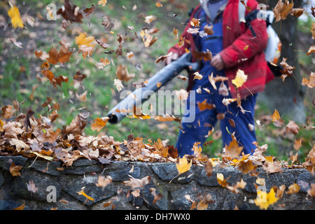 Souffleuse à feuilles souffler les feuilles de l'jardin pelouse, des outils pour le nettoyage de l'automne les feuilles tombées Banque D'Images