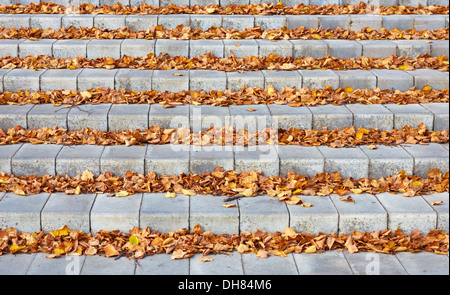 Feuilles d'automne sur l'escalier en béton Banque D'Images