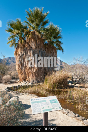 La Californie, San Diego County, Anza-Borrego Desert State Park, Desert Garden Trail, pupfish (Cyprinodon macularius) info sign Banque D'Images