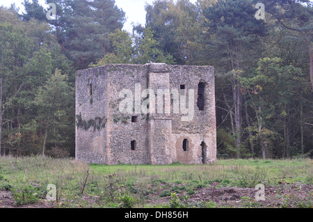 Thetford Warren Lodge Norfolk Banque D'Images