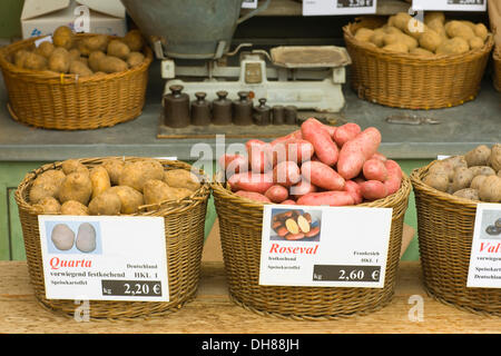 Les pommes de terre sur le marché alimentaire Viktualienmarkt, Altstadt-Lehel district, Munich, Bavière Banque D'Images