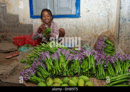 Marchande de nénuphars dans un marché, Siem Reap, Siem Reap, la Province de Siem Reap, Cambodge Banque D'Images