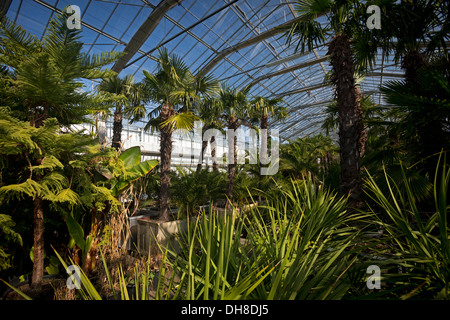 L'Orangerie du centre horticole de Vichy qui permet la préservation de palmiers au cours de la saison d'hiver (France). Banque D'Images