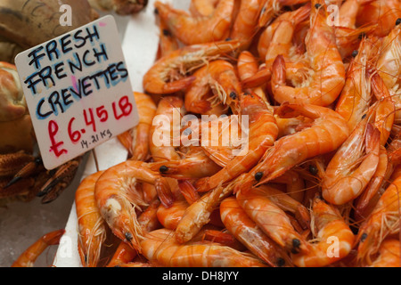 Français frais Crevettes. Beresford Marché aux poissons. New Jersey. Channel Islands. L'Angleterre. UK. Banque D'Images