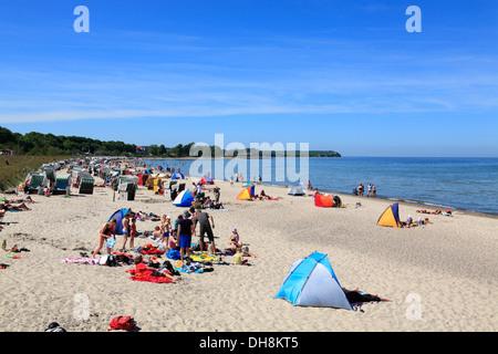 Boltenhagen Plage, côte de la mer Baltique, le Mecklembourg Poméranie occidentale, Allemagne Banque D'Images