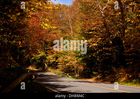 Une route sinueuse menant à Mount Greylock sommet est entouré d'arbres colorés dans le comté de Berkshire, Massachusetts Banque D'Images