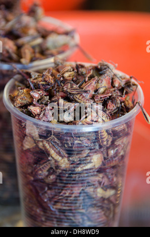 Chapulines sauterelles frites, avec de la chaux et le Chili, lors d'une échoppe de marché à Oaxaca, au Mexique. Banque D'Images