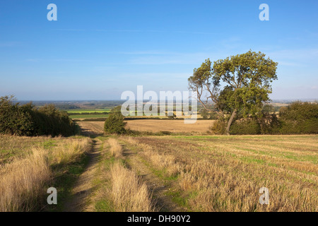 Paysage d'automne anglais avec la vallée de York lointain vue depuis le sec haut sur le Yorkshire Wolds. Banque D'Images