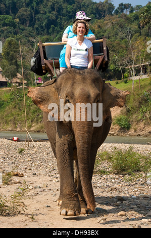 Close up vertical de touristes sur une excursion à dos d'éléphant au Laos. Banque D'Images