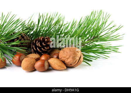 Décoration de Noël avec des noix mélangées, rameau de pin et des pommes de pin sur un fond blanc Banque D'Images