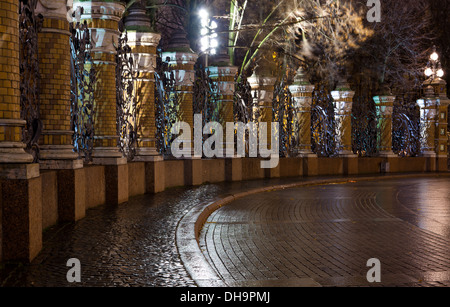 Vue de nuit sur la clôture du jardin Mikhaïlovski. Saint-pétersbourg, Russie Photo prise le : Octobre 29, 2013 Banque D'Images