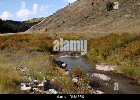 Barrage de castor en Wyoming Banque D'Images