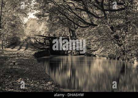 Huddersfield le canal étroit en automne. Banque D'Images