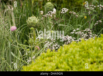 Chelsea Flower Show 2013, M&G Centenaire, Designer Roger Platts. Médaille d'or. Banque D'Images