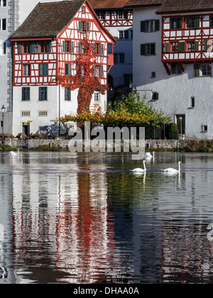 Maison typiquement Suisse compte sur Rhin avec cygnes, Eglisau, Suisse. Banque D'Images