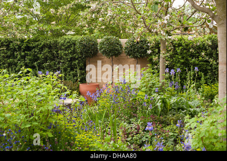 Chelsea Flower Show 2013, Homebase garden, 'En raison les graines du changement' designer Adam Frost. Médaille d'or. Banque D'Images