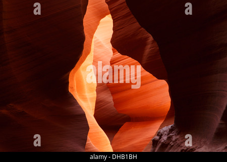 Lower Antelope Canyon fente sur Navajo Land, Page, Arizona. Banque D'Images