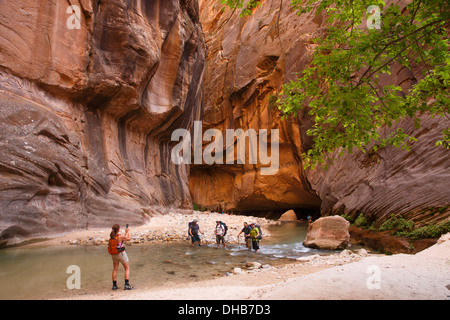 Randonneurs dans le passage sur la rivière vierge, Zion National Park, Utah. Banque D'Images