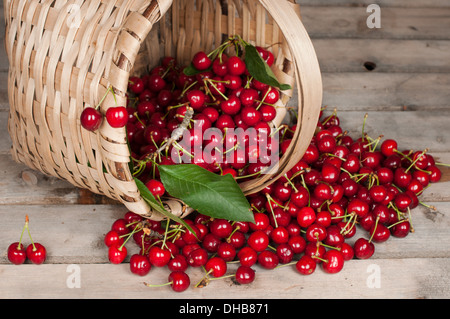 Les cerises dans un panier sur un fond sombre Banque D'Images