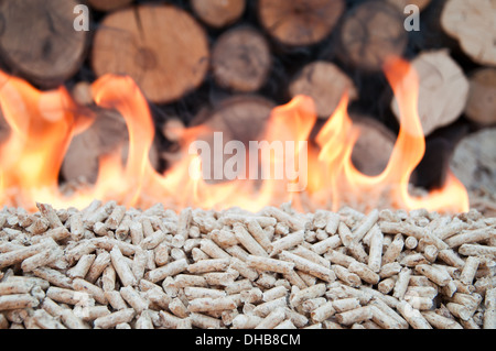 Granulés de bois de chêne en flammes- stock photo Banque D'Images