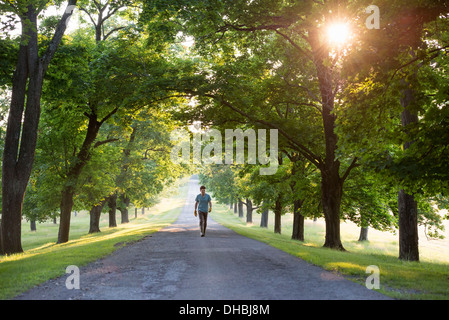 Un homme marchant dans une avenue ombragée d'arbres dans la campagne. Banque D'Images