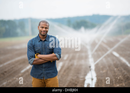 Une ferme maraîchère biologique, avec aspersion d'eau irrigation des champs. Un homme en vêtements de travail. Banque D'Images