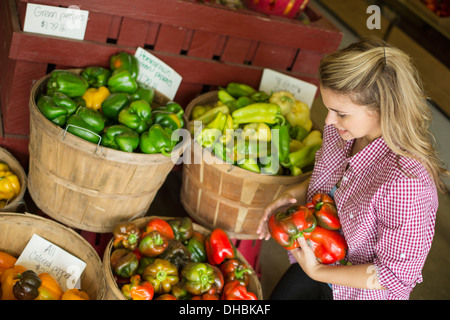 Travailler sur une ferme biologique. Une jeune femme aux cheveux blonds différents types de tri bell pepper pour la vente. Banque D'Images