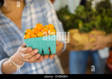 Deux personnes avec des paniers de tomates et de légumes verts à feuilles frisées. Travailler sur une ferme biologique. Banque D'Images