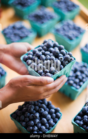 Les fruits biologiques affichés sur un support ferme. Des bleuets dans des barquettes. Banque D'Images