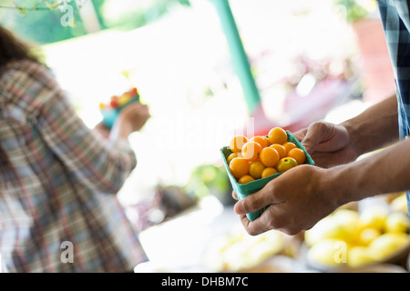 Une ferme la culture et la vente de légumes et fruits biologiques. Un homme et une femme qui travaillent ensemble. Banque D'Images