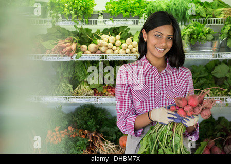 Une ferme stand de rangées de légumes fraîchement cueillis à la vente. Une femme tenant un bouquet de carottes. Banque D'Images