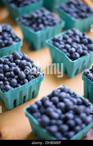 Les fruits biologiques affichés sur un support ferme. Des bleuets dans des barquettes. Banque D'Images