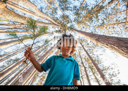 Des arbres sur les rives d'un lac. Un enfant debout parmi les arbres. Banque D'Images