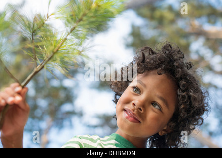 Des arbres sur les rives d'un lac. Un enfant debout entre les arbres, tenant une branche avec des aiguilles de pin jaune. Banque D'Images