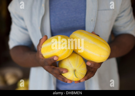 Une ferme la culture et la vente de légumes et fruits biologiques. Un homme à rayures la récolte de courges. Banque D'Images