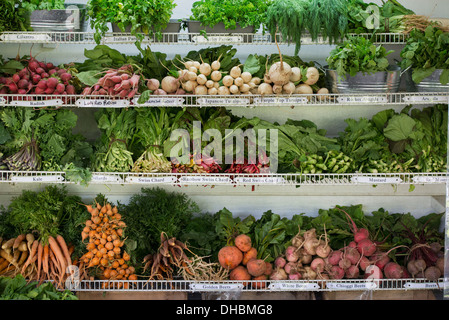 Une ferme stand de rangées de légumes fraîchement cueillis à la vente. Banque D'Images