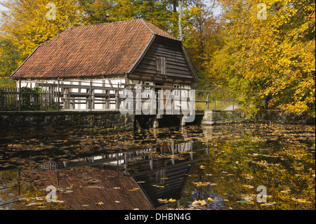 L'étang en face d'un ancien moulin à eau du xviiie siècle, l'Allemagne, de l'Europe Banque D'Images