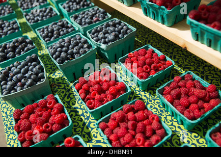 Ferme stand barquettes avec des bleuets et rapsberries en vente, frais fruits biologiques. Banque D'Images