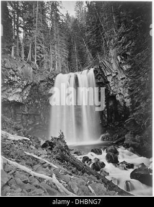 Tombe sur le côté gauche de la fourche de la rivière Gardiner. Le Parc National de Yellowstone. 517654 Banque D'Images