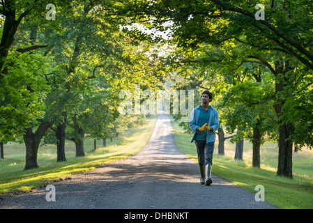 Un homme marchant sur un chemin bordé d'arbres. Banque D'Images