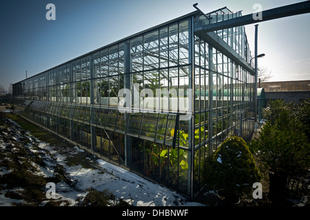 L'Orangerie de la production horticole Vichy Centre (France). L'Orangerie du Centre de Production horticole de Vichy (France). Banque D'Images