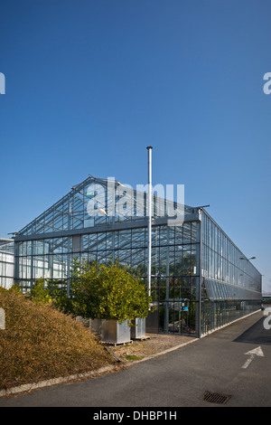 L'Orangerie de la production horticole Vichy Centre (France). Serre municipale de Vichy (France). Banque D'Images