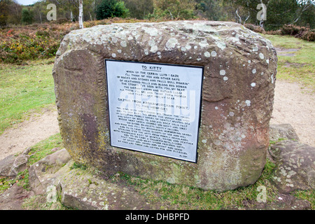 Le Kitty's monument en pierre dans le sud de Bickerton Hill England UK Cheshire Banque D'Images