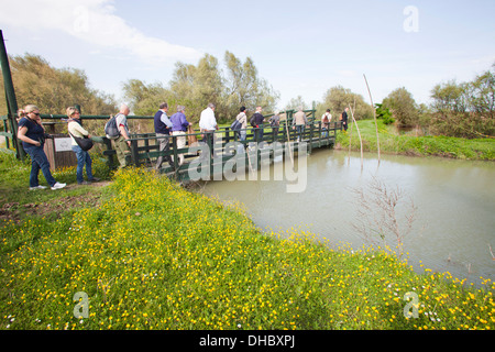 Oasis de boscoforte, vallées de Comacchio, province de Ferrare, delta du Pô, Emilia Romagna, Italie, Europe Banque D'Images