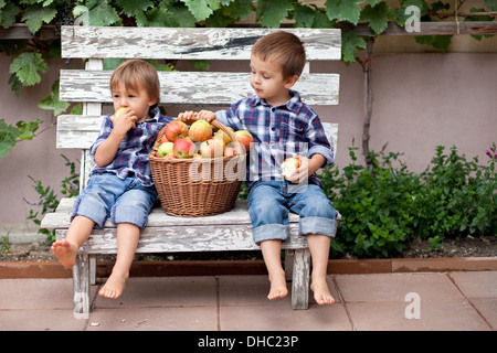 Deux garçons avec un panier de pommes, assise sur un banc Banque D'Images