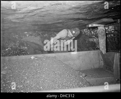 Harry Fain, charbon, charge du chargeur qui est mélangé à la poussière de bug de l'ardoise et la masse de charbon par la machine à sous-cotation. Il va... 541481 Banque D'Images