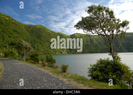 Petite route au nord de Lagoa Azul, l'île de São Miguel, Açores, Portugal Banque D'Images