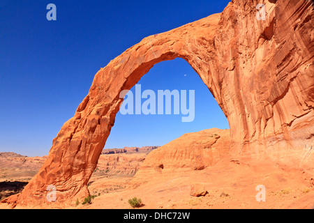 Corona Arch et la lune dans un ciel bleu clair près de Moab, Utah Banque D'Images