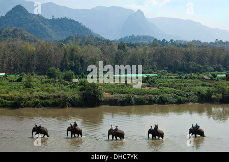 Vue horizontale de touristes sur les éléphants marchant le long d'une rivière dans la campagne du Laos. Banque D'Images